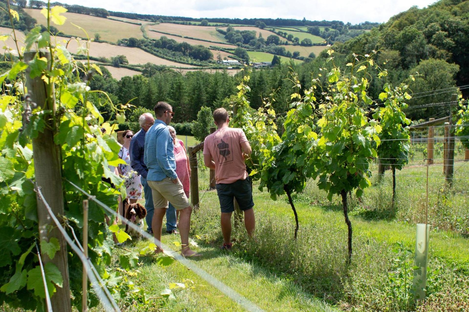 הוילה Broadwoodwidger Couples Retreat In Beautiful West Devon Countryside מראה חיצוני תמונה
