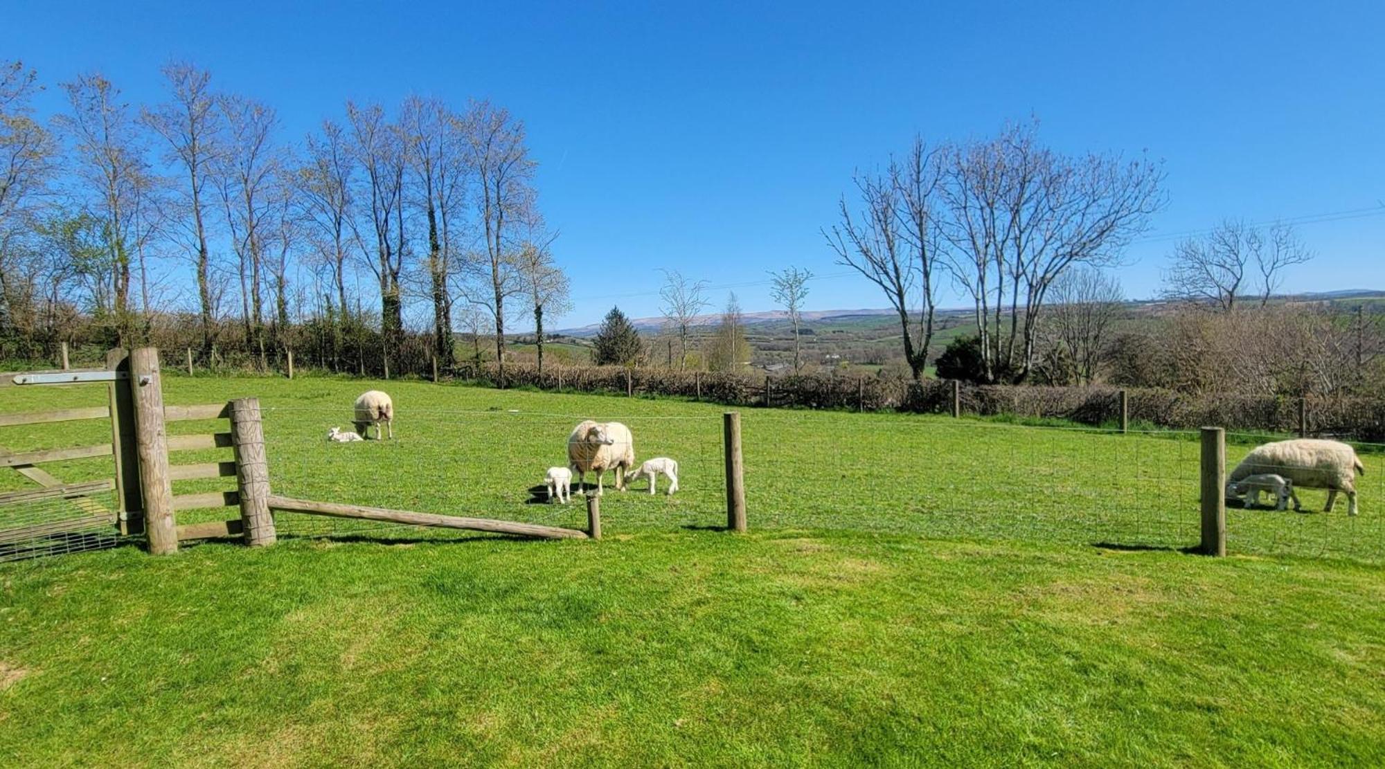 הוילה Broadwoodwidger Couples Retreat In Beautiful West Devon Countryside מראה חיצוני תמונה